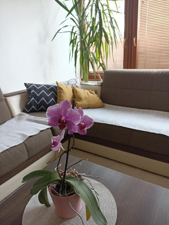 Apartment Bella Casa Free Parking Сараєво Екстер'єр фото
