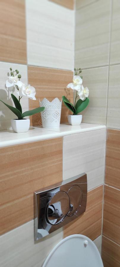 Apartment Bella Casa Free Parking Сараєво Екстер'єр фото